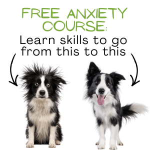 Free Anxiety and Overthinking Course Squamish BC and Online