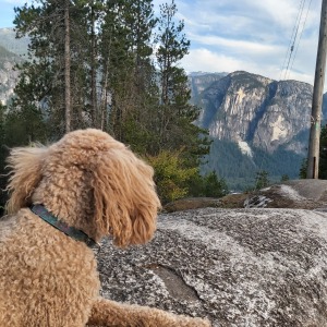 Maisie Squamish BC