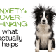 Anxiety and Overthinking