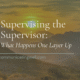 Supervision of Supervision BC